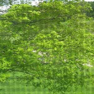 Meet your Posher, Aubrey